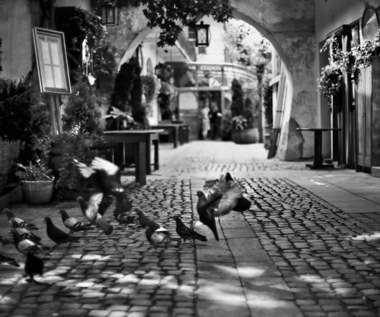 "Kazimierz". Album fotograficzny Bogdana Frymorgena