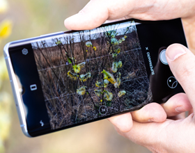 Zdjęcie ze smartfona to początek – co postprodukcja potrafi wyciągnąć ze zdjęć z Huawei P30 Pro