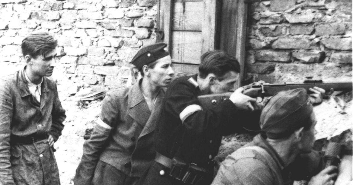 Zostań wolontariuszem, pomóż Powstańcom Warszawskim!