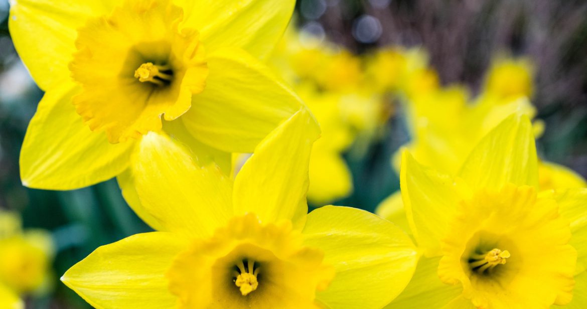 Nowy tydzień w kulturze: Artyści uczczą rocznicę powstania