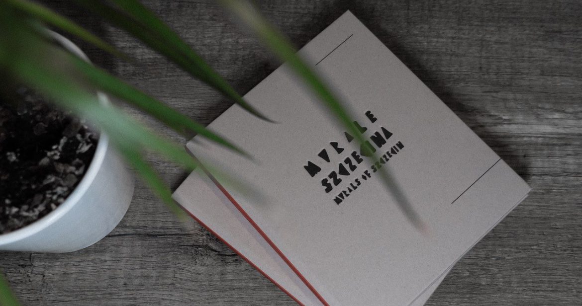 Album ze szczecińskimi muralami. "Zamiast roweru pomalowałem całą szkołę"