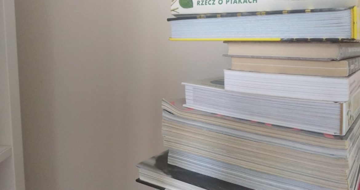 Olsztyn: W miejskiej bibliotece ruszają Dni Literatury Dziecięcej