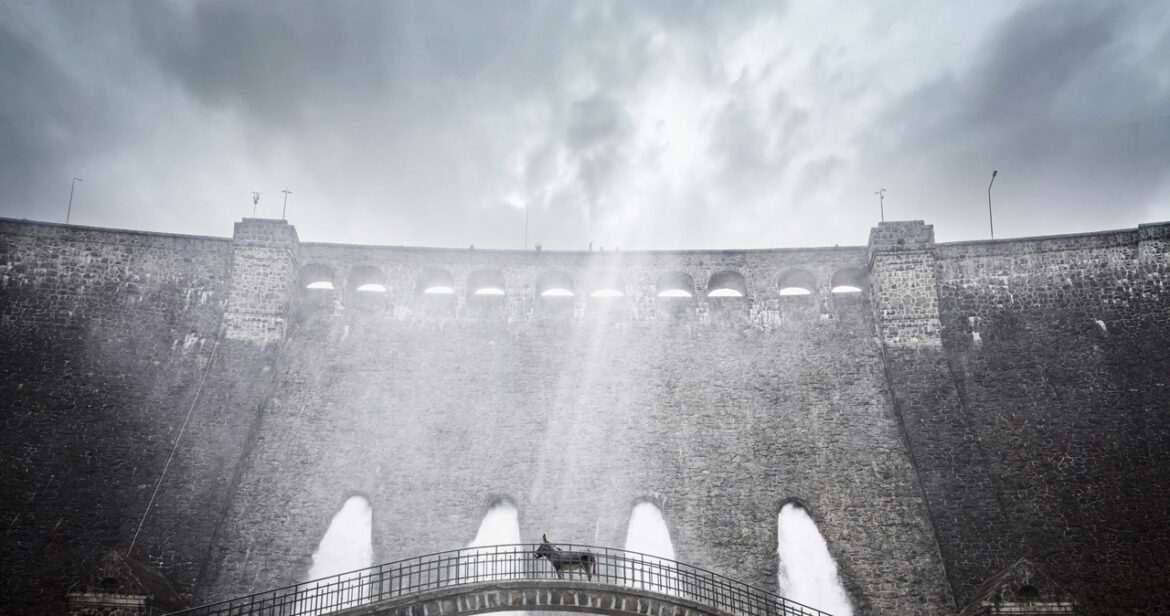 "IO" Jerzego Skolimowskiego z nominacją do Cezara