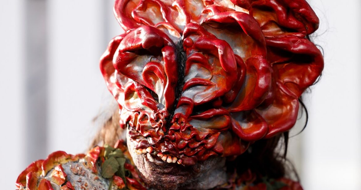 Pedro Pascal w kozakach i cosplay. Premiera drugiego sezonu „The Last of Us”