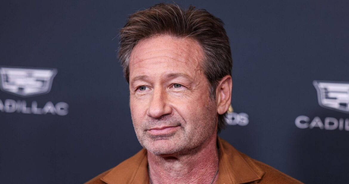 ​Gwiazda "Z archiwum X" powróci na ekrany, by ujawniać rządowe sekrety