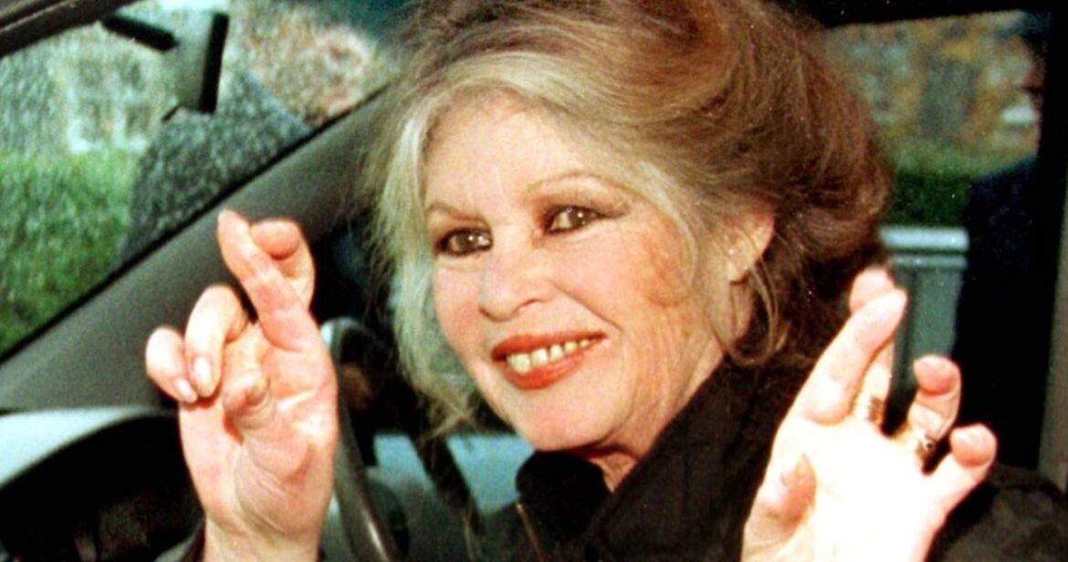 Brigitte Bardot w szpitalu. Niepokojące informacje o zdrowiu ikony francuskiego kina